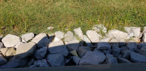 Trash next to a parking lot.