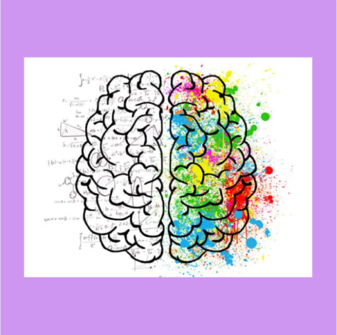 Are you more left brained or right brained?
