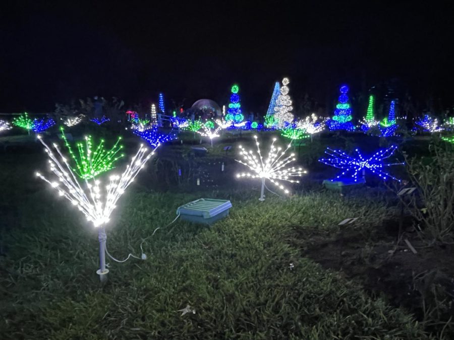 Light shrubs at the Missouri Botanical Garden Dec. 3, 2021.