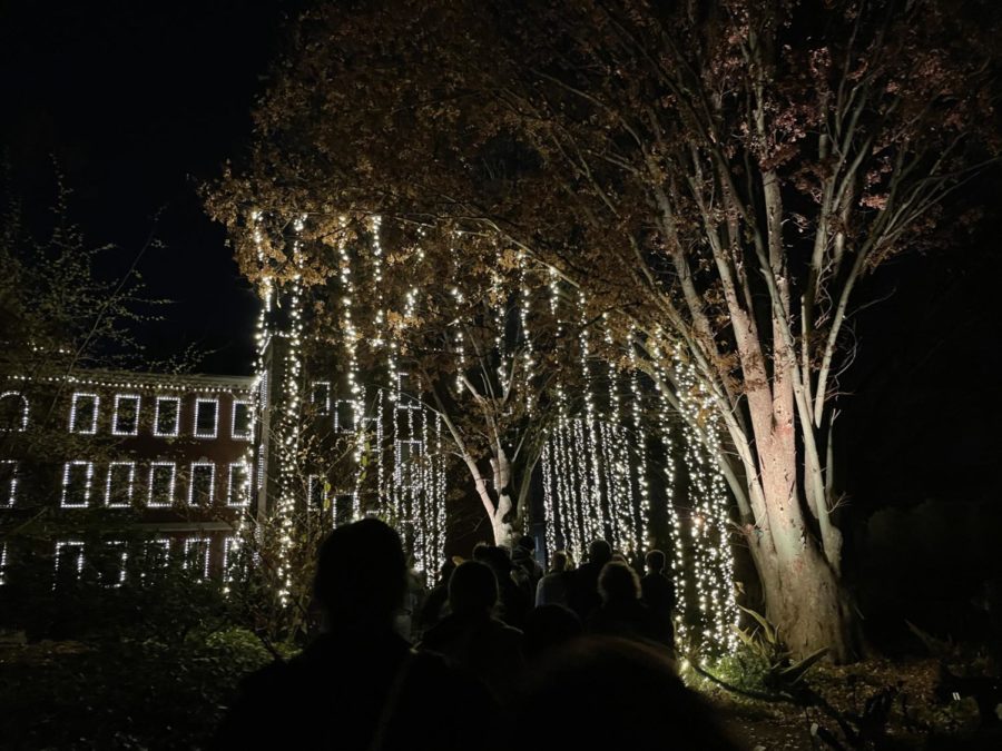 Lights hang from trees at the Missouri Botanical Garden on Dec. 3, 2021.