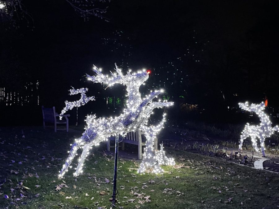 Rudolph at the Missouri Botanical Garden on Dec. 3, 2021.