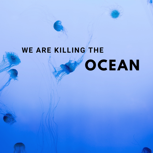 Ocean Pollution