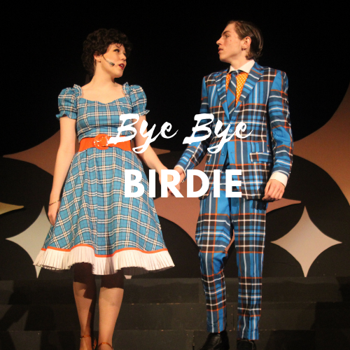 Bye Bye Birdie was the spring musical