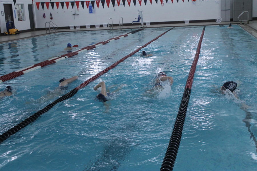 Swimmers during 200m "cool down".