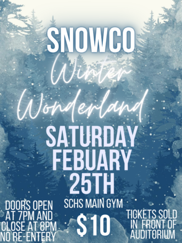 SnowCo Poster