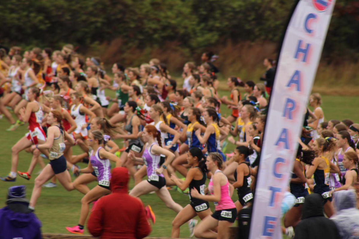 Girls cross country starting there race