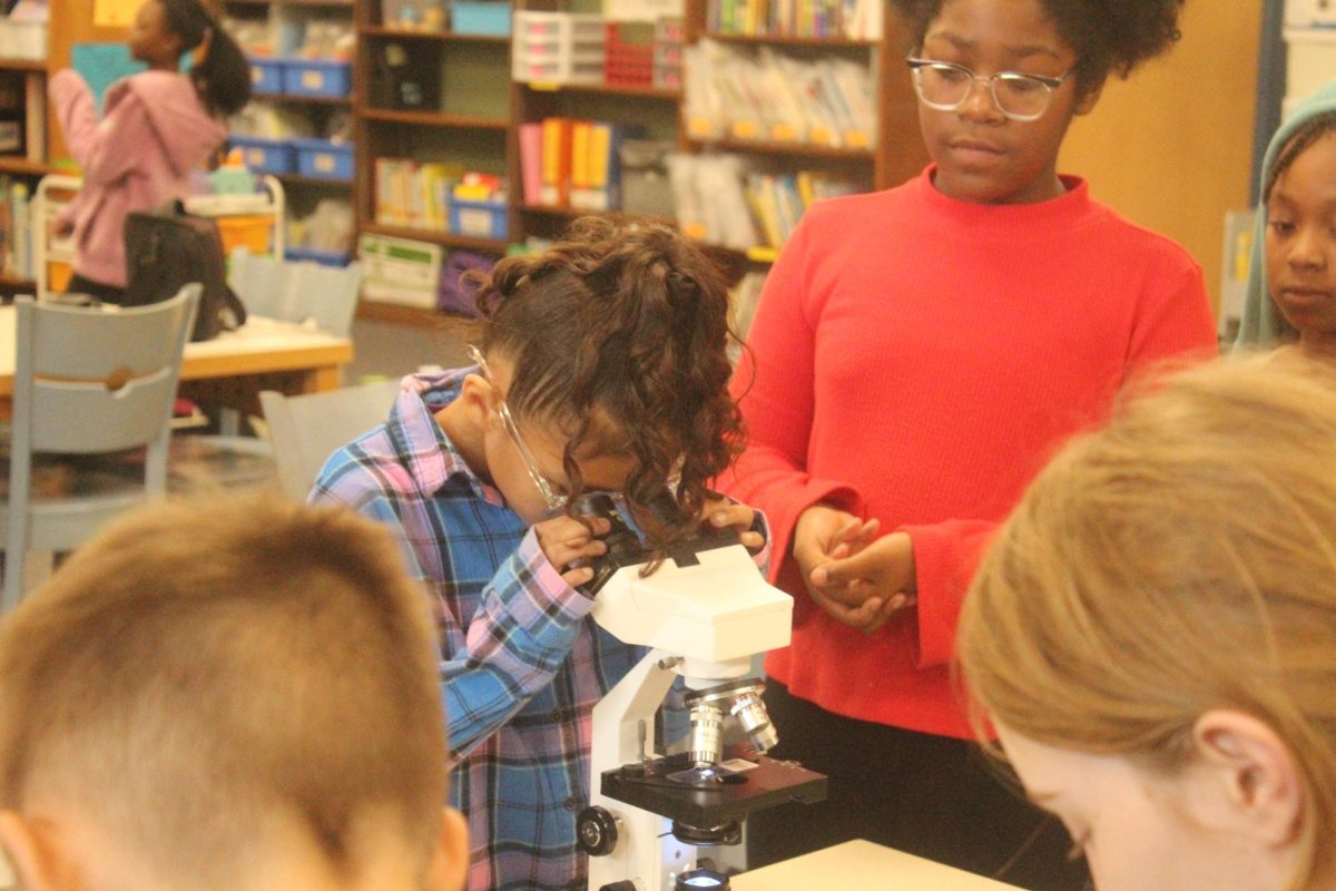 A Null elementary student looking through a microscope on Oct. 29.
