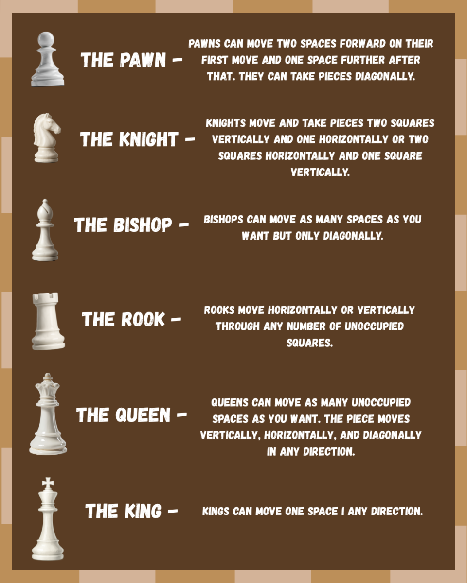 A description of how the different chess pieces move.