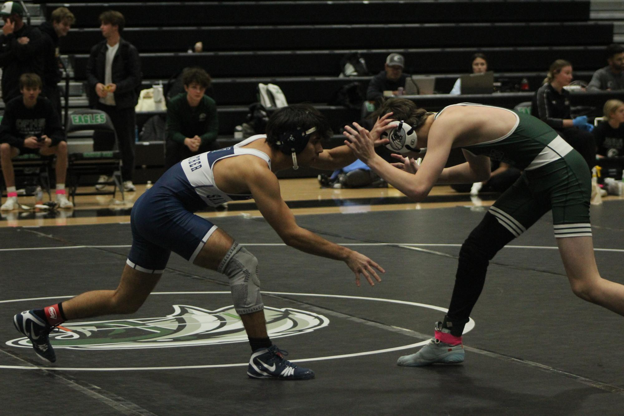 Winter Sports Photo Dump