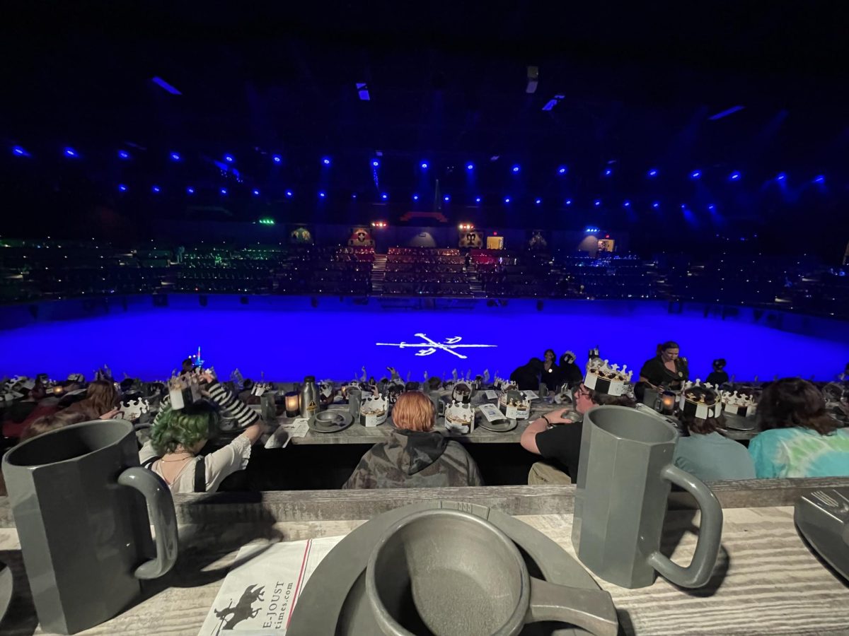 A picture of dinner at the Medieval Times.