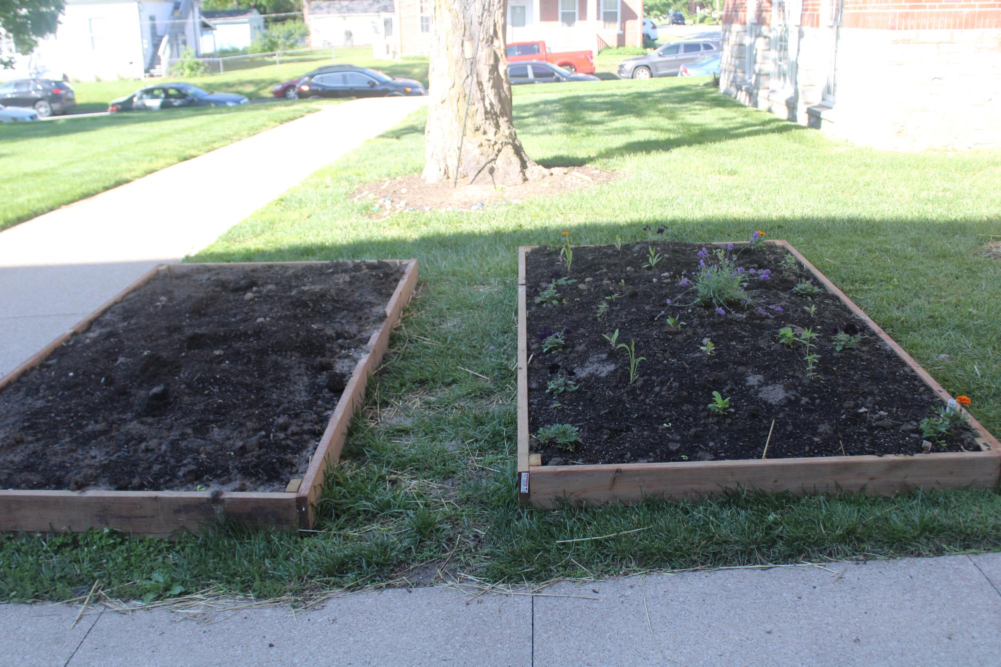 The community club garden is done.