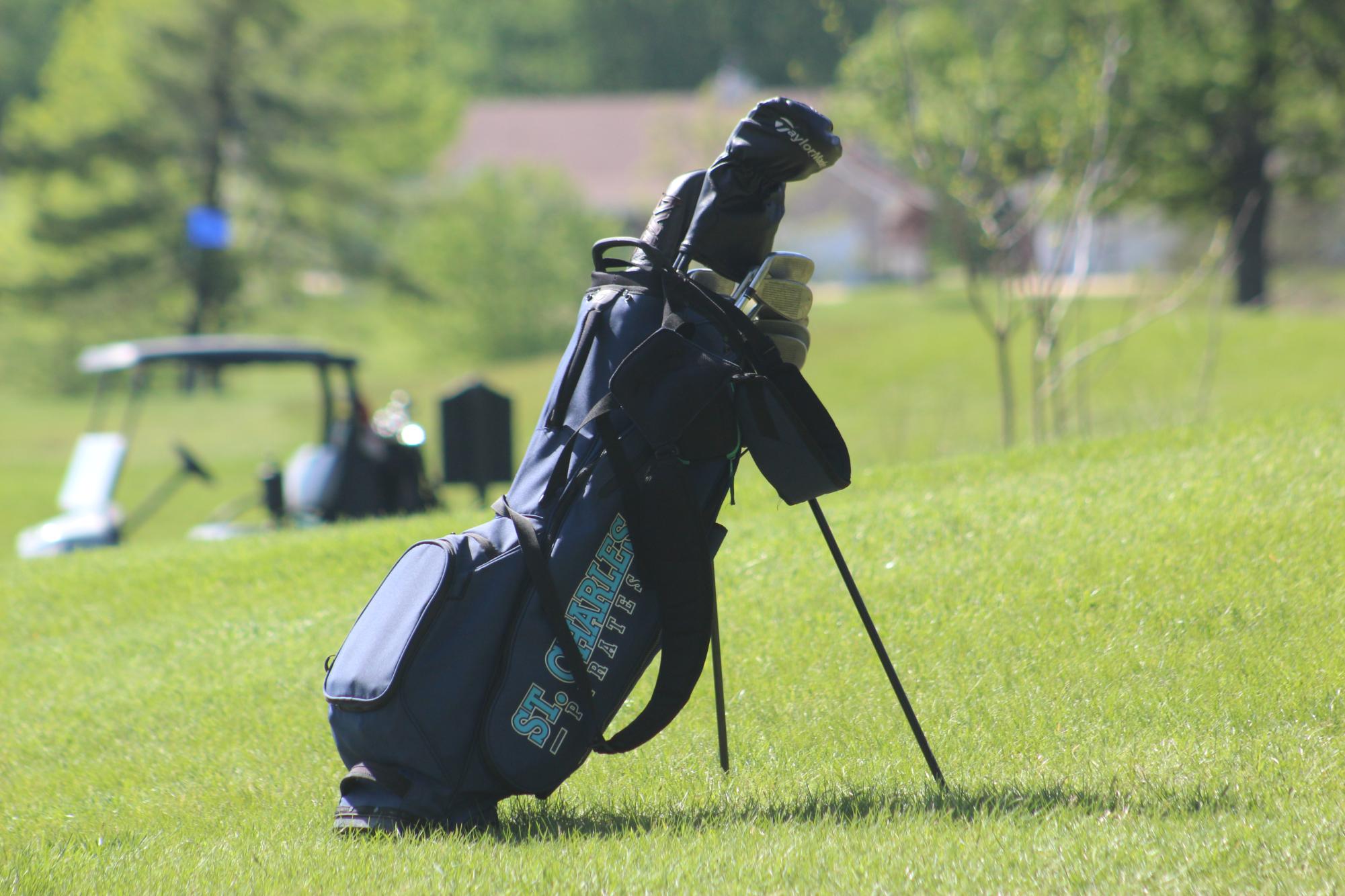 Springs Sports Photo Dump